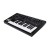 Moog Messenger