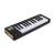Arturia MicroLab mk3 Black