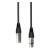 Lewitt Audio 7-pin XLR cable