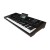 Korg PA-5X 61 Oriental