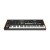 Moog Muse