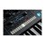 Moog Muse