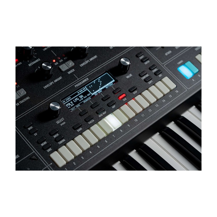 Moog Muse