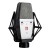 sE Electronics T1