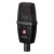 sE Electronics sE4100 Pair