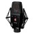 sE Electronics sE4100 Pair