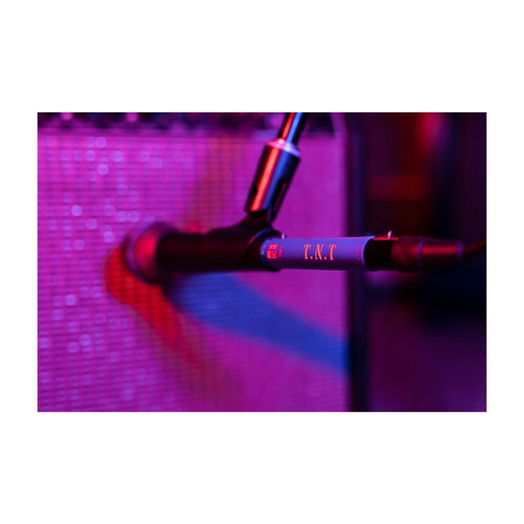 sE Electronics DM2 TNT