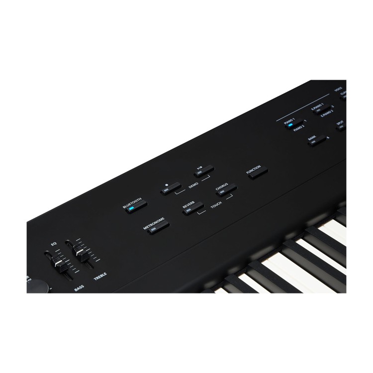 Kurzweil KaE1