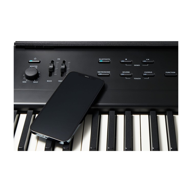 Kurzweil KaE1