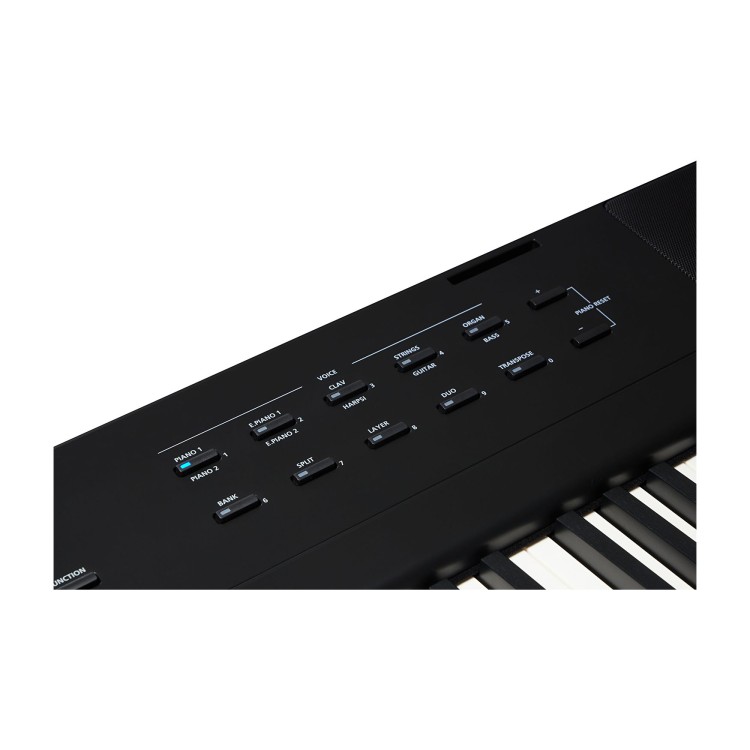 Kurzweil KaE1