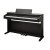 Kurzweil Cup E1