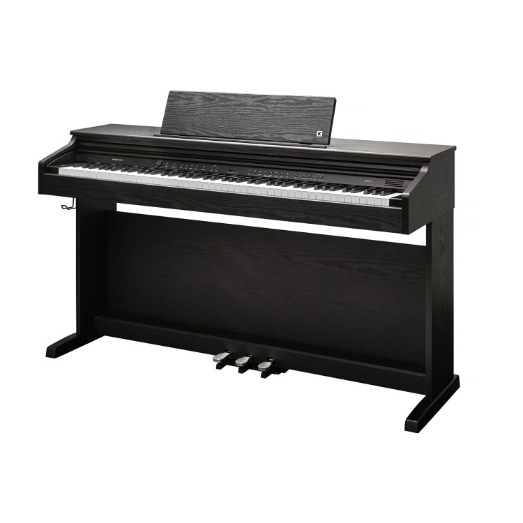 Kurzweil Cup E1
