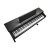 Kurzweil Cup E1