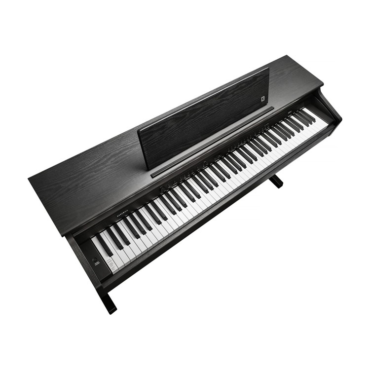 Kurzweil Cup E1