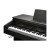 Kurzweil Cup E1