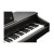 Kurzweil Cup E1