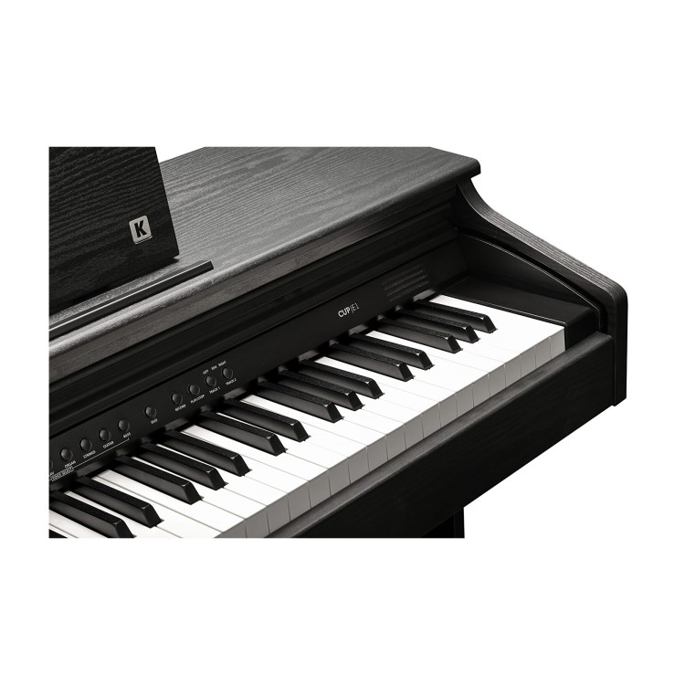 Kurzweil Cup E1