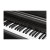Kurzweil Cup E1