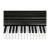Kurzweil Cup E1