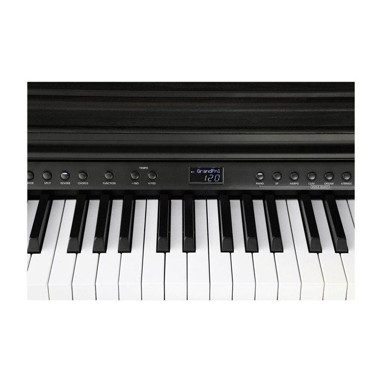Kurzweil Cup E1