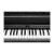 Kurzweil Cup E1