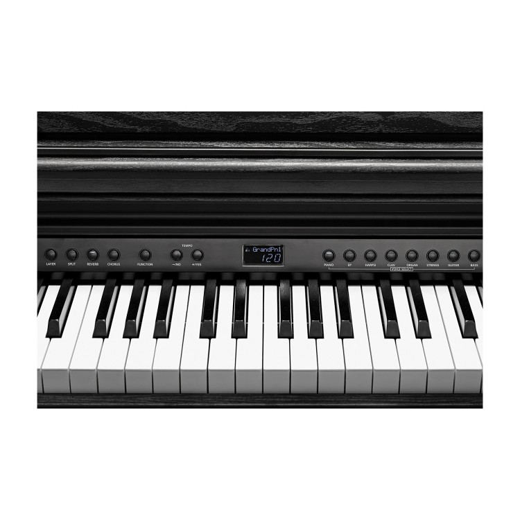 Kurzweil Cup E1