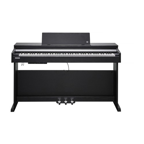 Kurzweil Cup M1