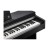 Kurzweil Cup M1