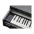 Kurzweil Cup M1