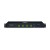 Black Lion Audio Revolution EXP