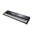 Kurzweil SP7