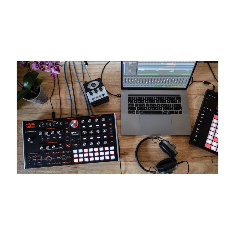 ASM Hydrasynth Desktop / Rack