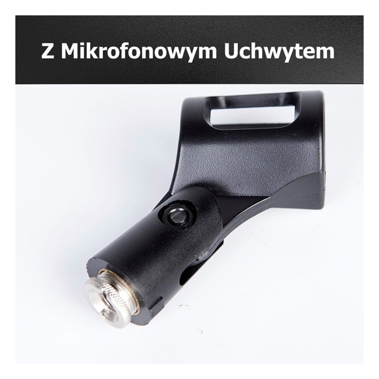 SSQ A1