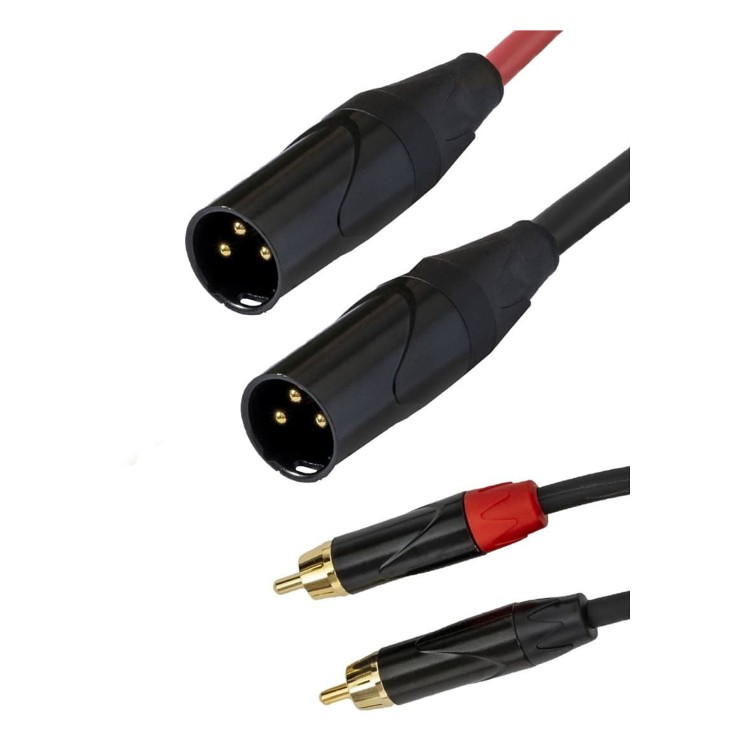 SSQ RCAXM2