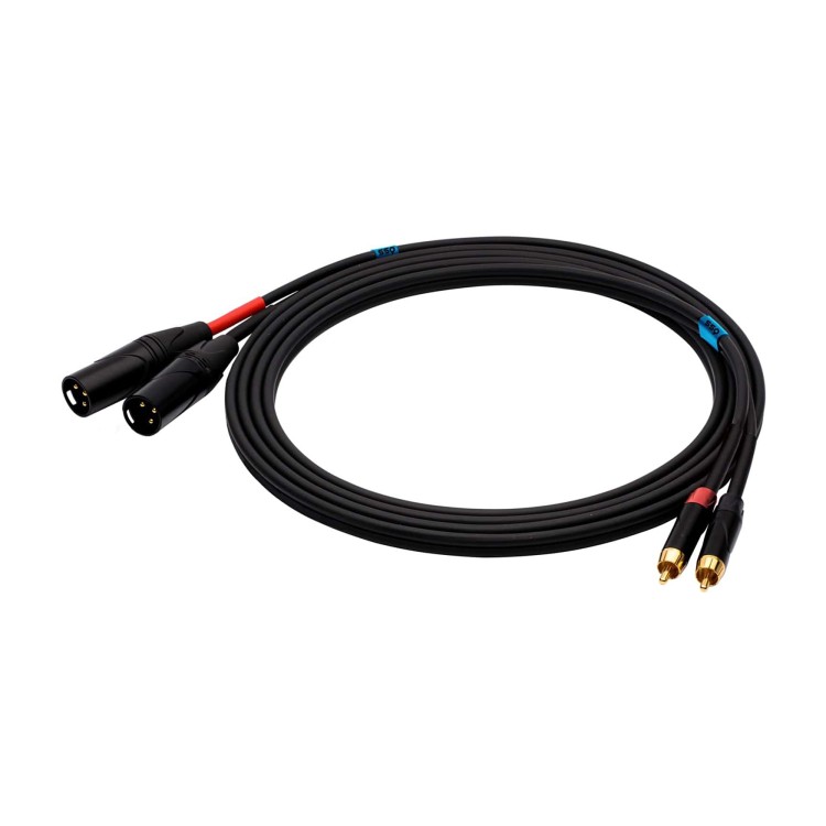 SSQ RCAXM2