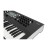 Waldorf Iridium Keyboard