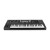 Waldorf Iridium Keyboard