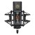 Lewitt Audio LCT 1040