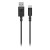 sennheiser xsw-d instrument base set