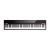 alesis concert