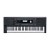 kurzweil kp100