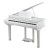 kurzweil kag100 wh