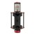 Manley Reference Cardioid