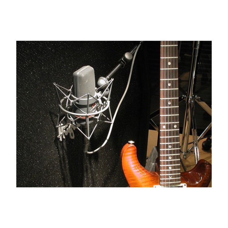 Neumann TLM 170 R