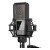 Lewitt Audio LCT 540 S