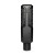 Lewitt Audio LCT 441 FLEX