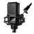 Lewitt Audio LCT 441 FLEX