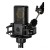 Lewitt Audio LCT 440 PURE