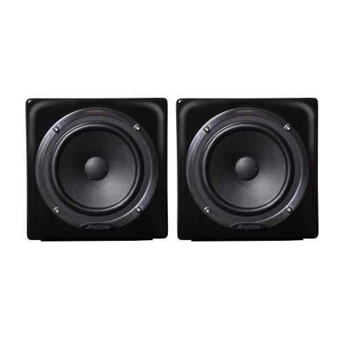Avantone Mixcube Active Black Pair