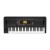 Korg EK-50 L